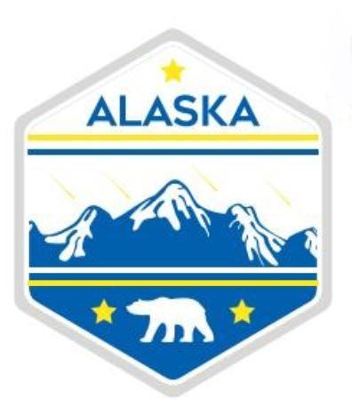 Alaska Patch - Classic Slipper Sock