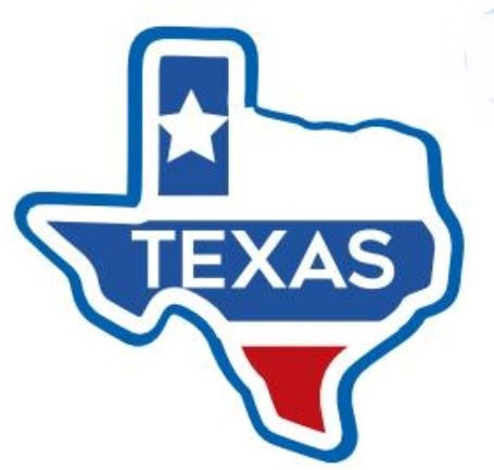 Texas Patch - Classic Slipper Sock